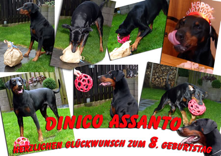 Dinico Assanto