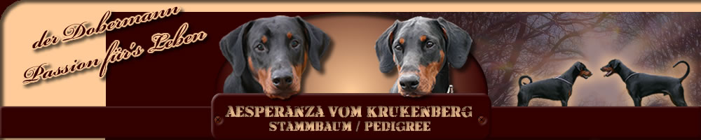 &Uuml;ber uns
