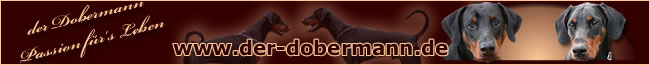 Der Dobermann - Passion f&uuml;r's Leben