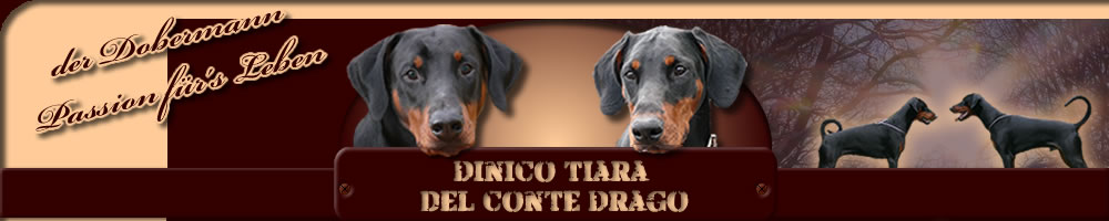 Dinico Tiara del Conte Drago