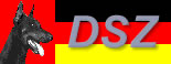 Dobermann Sport und Zucht