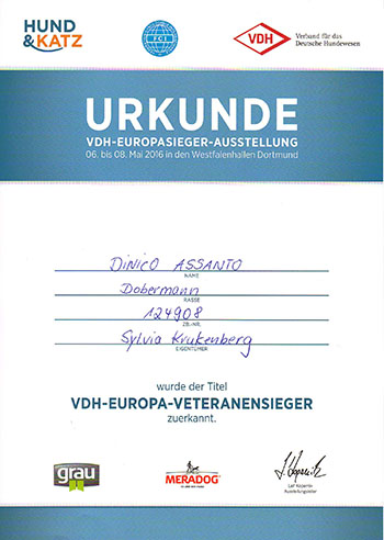 Europasieger-03