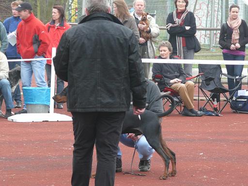 CAC Schau Essen