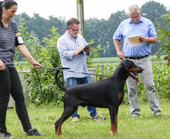 E-Wurf vom Krukenberg